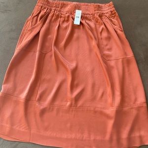 Ann Taylor Loft knee length skirt (NWT)